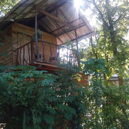Angry Birds Tree House Appartement Habarana Buitenkant foto