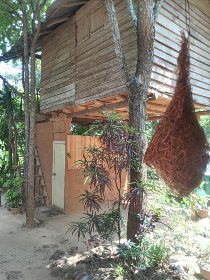Angry Birds Tree House Appartement Habarana Buitenkant foto