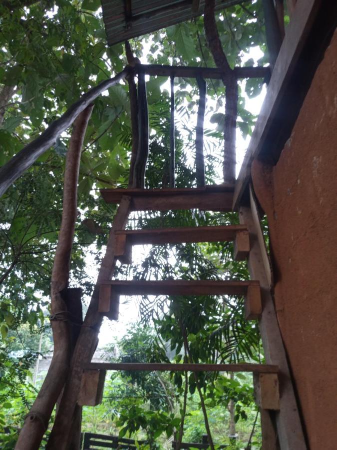 Angry Birds Tree House Appartement Habarana Buitenkant foto