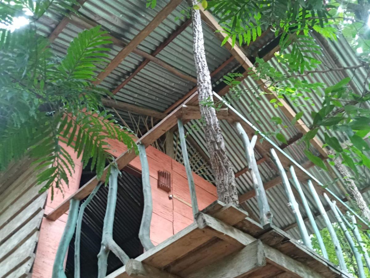 Angry Birds Tree House Appartement Habarana Buitenkant foto