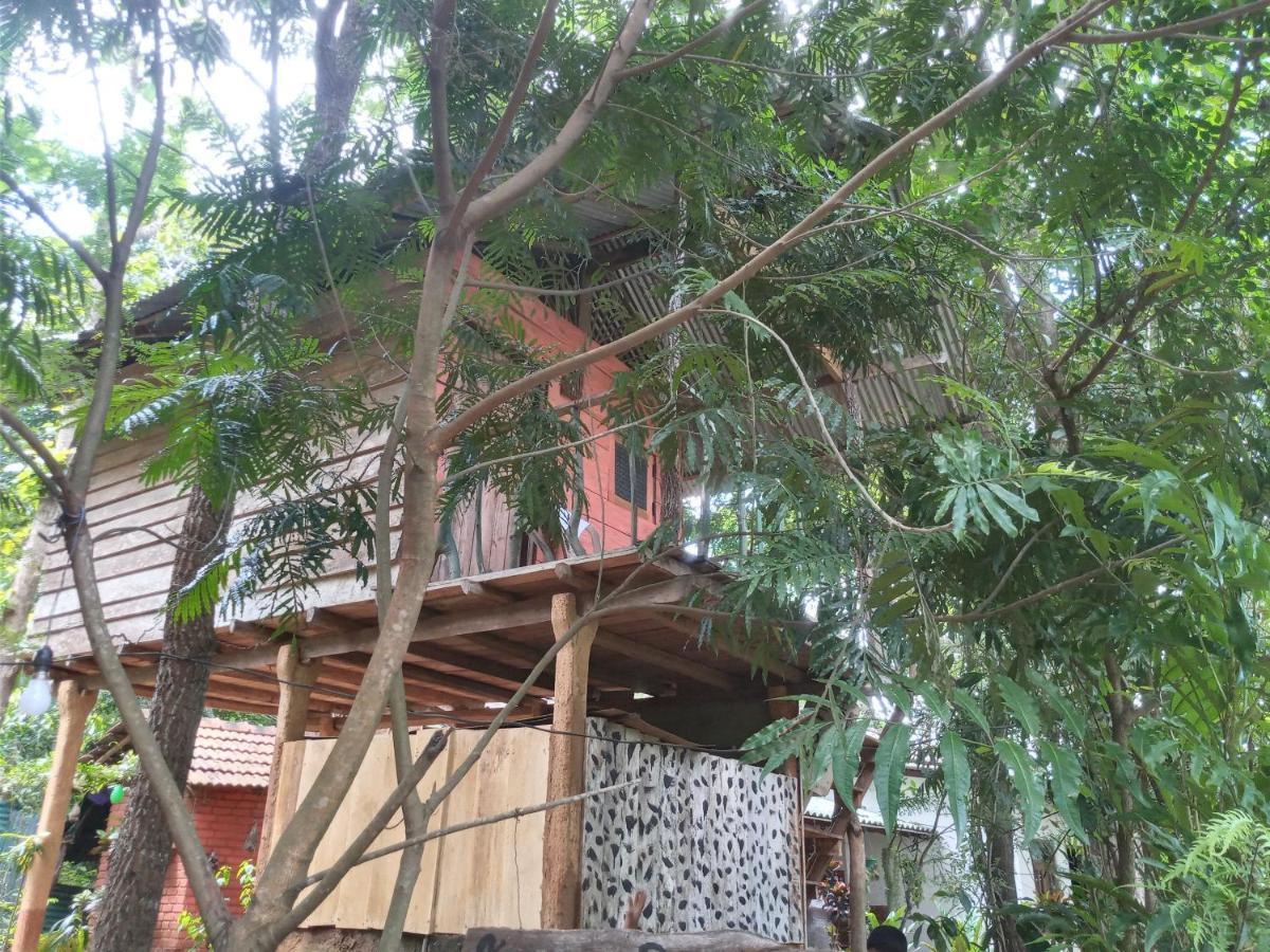 Angry Birds Tree House Appartement Habarana Buitenkant foto