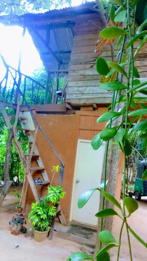 Angry Birds Tree House Appartement Habarana Buitenkant foto