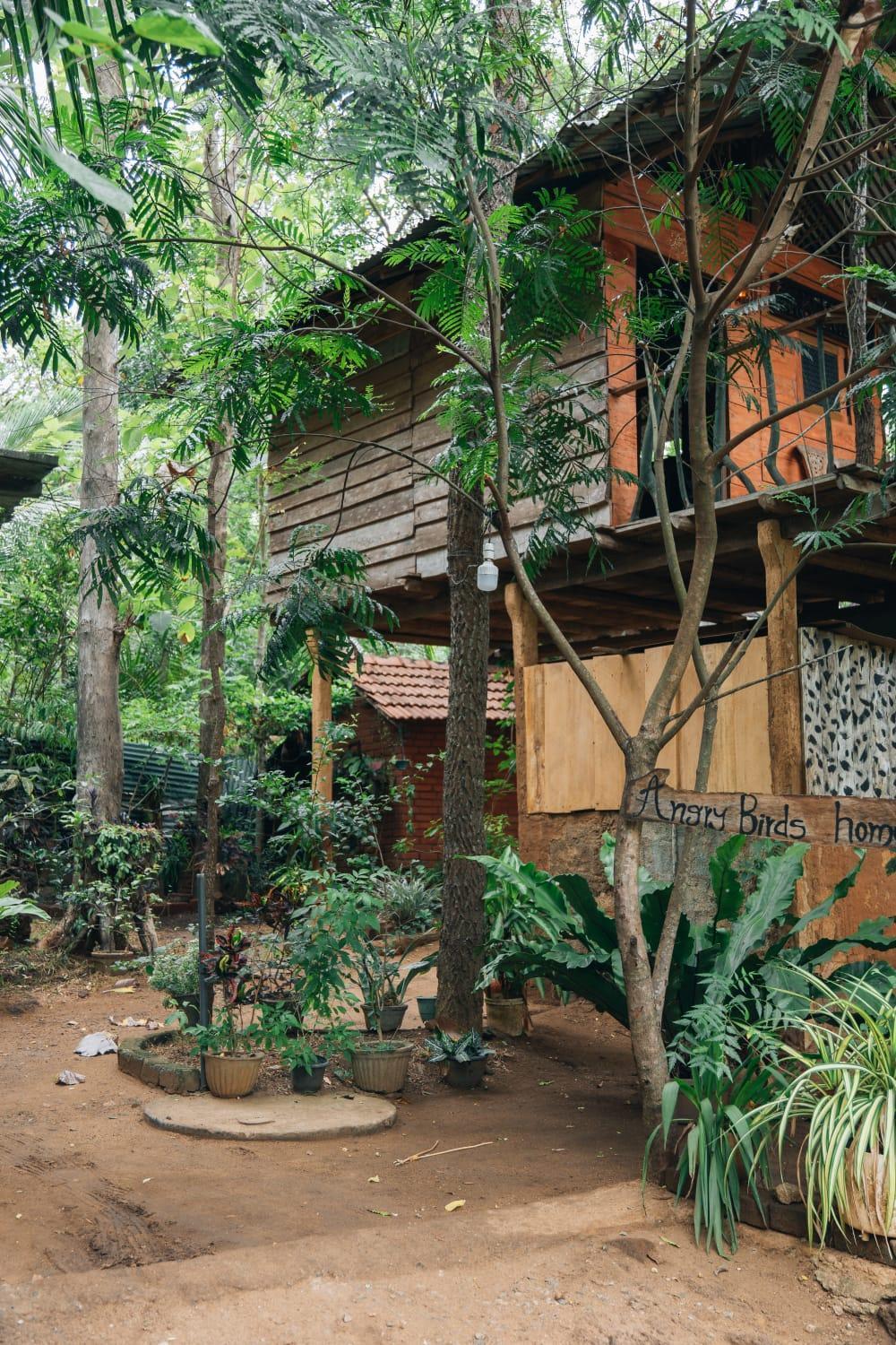 Angry Birds Tree House Appartement Habarana Buitenkant foto