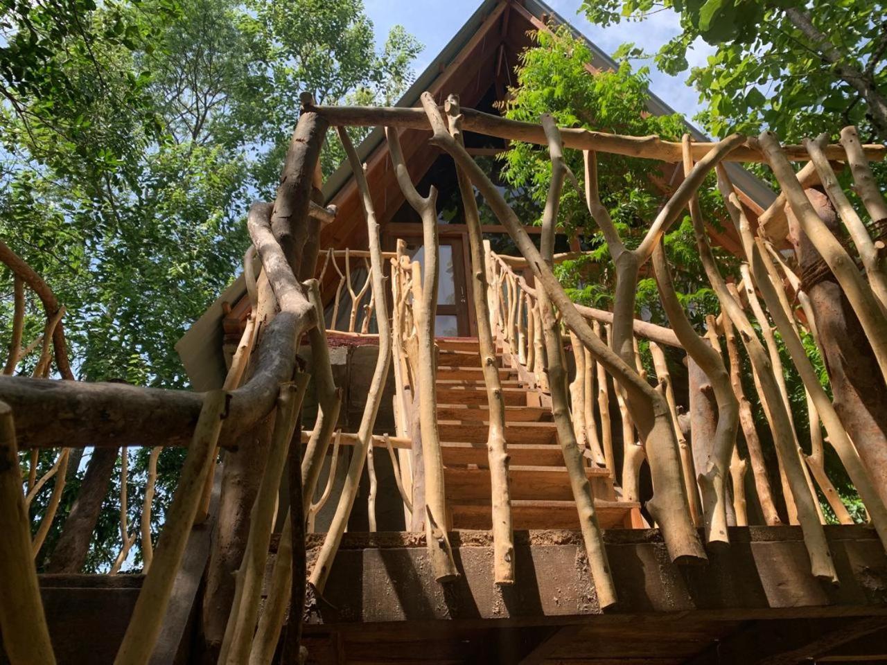 Angry Birds Tree House Appartement Habarana Buitenkant foto