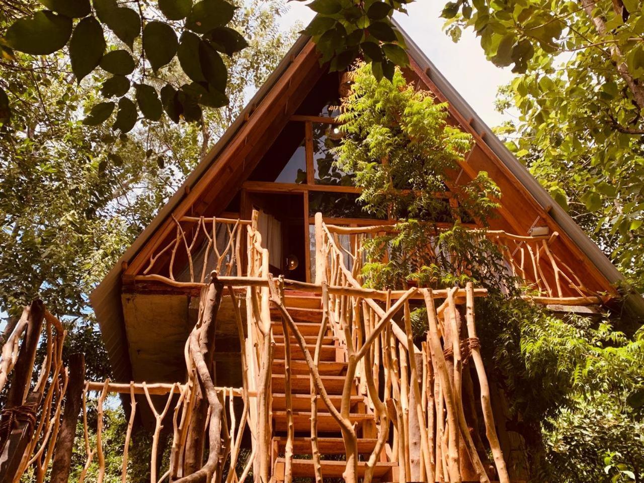 Angry Birds Tree House Appartement Habarana Buitenkant foto