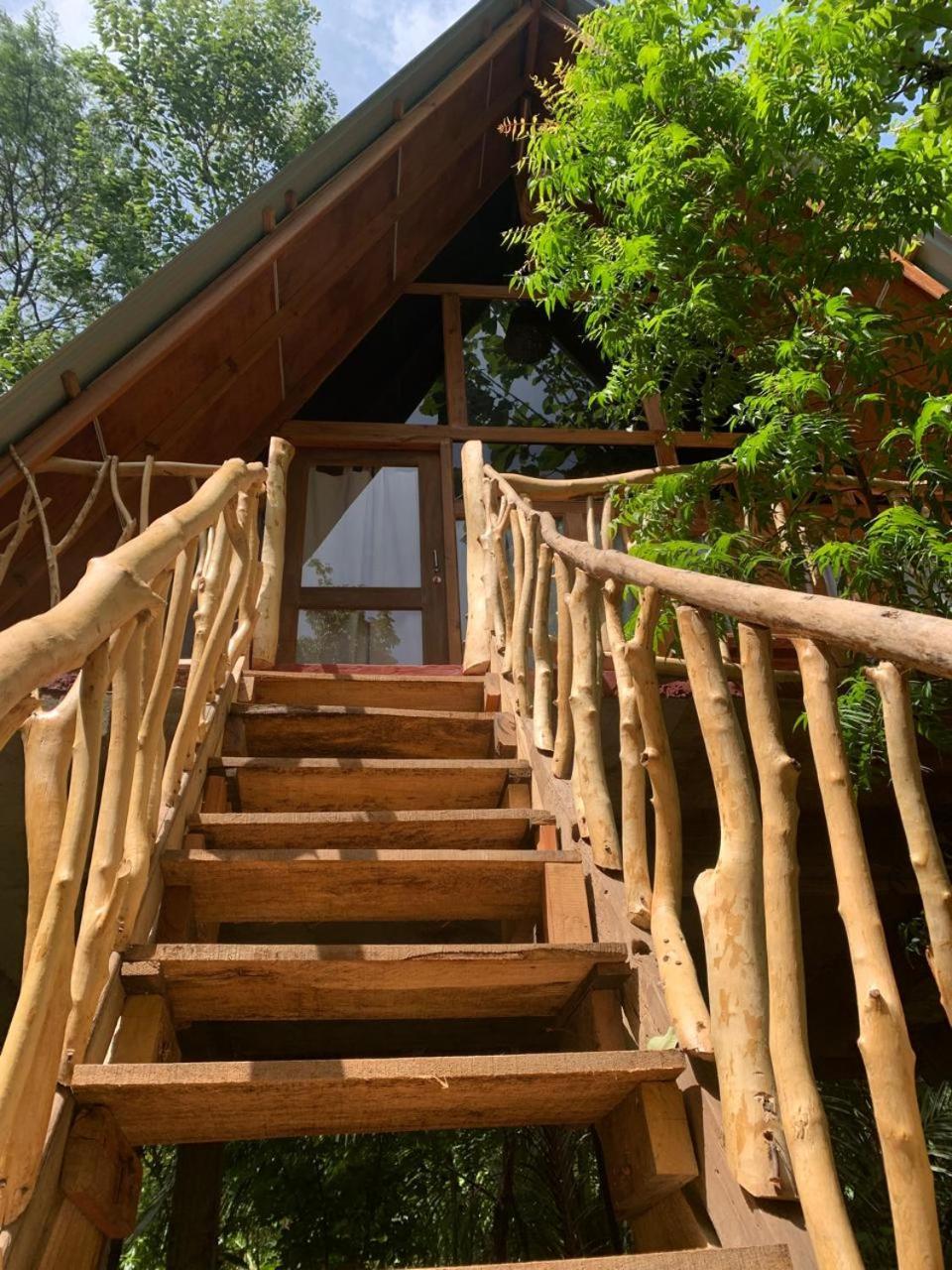 Angry Birds Tree House Appartement Habarana Buitenkant foto