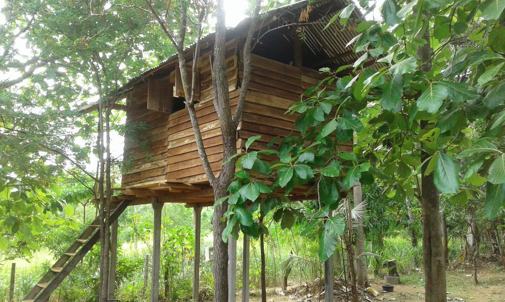 Angry Birds Tree House Appartement Habarana Buitenkant foto