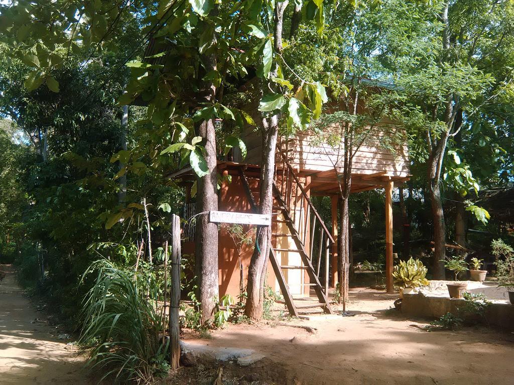Angry Birds Tree House Appartement Habarana Buitenkant foto