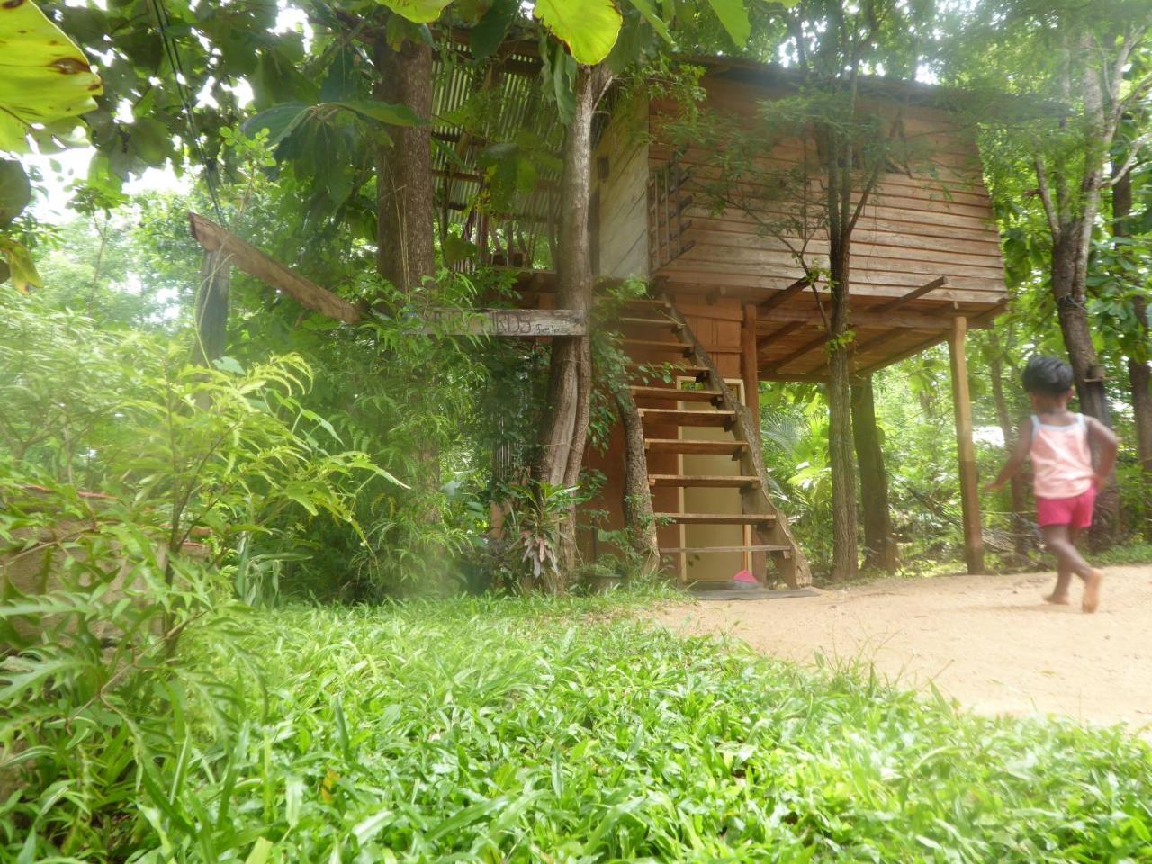 Angry Birds Tree House Appartement Habarana Buitenkant foto