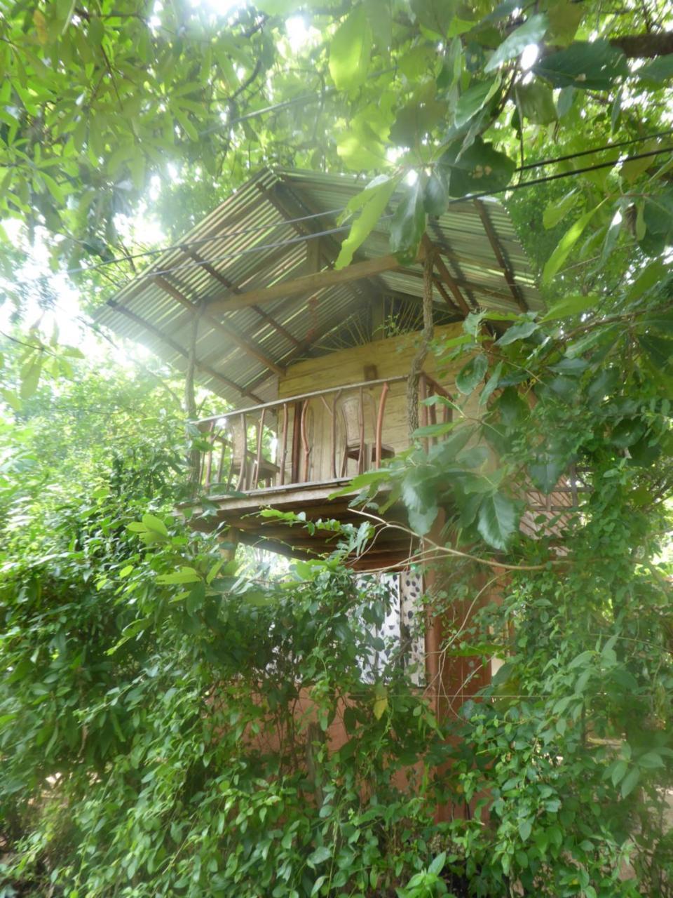 Angry Birds Tree House Appartement Habarana Buitenkant foto