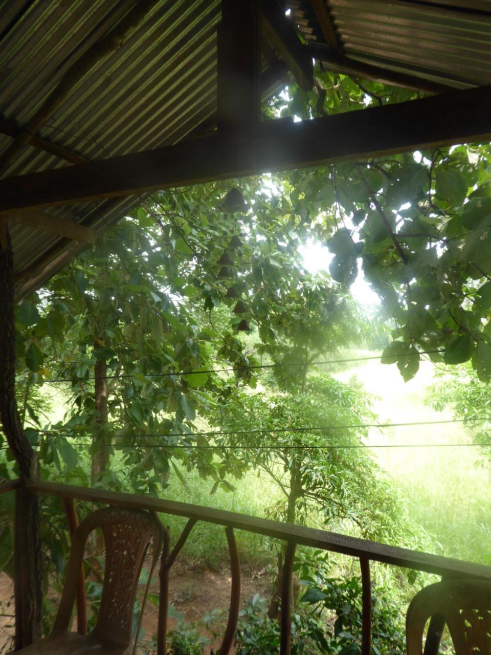Angry Birds Tree House Appartement Habarana Buitenkant foto